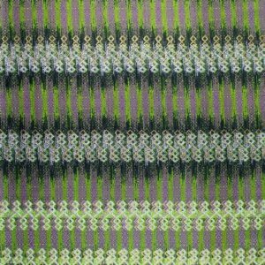 Noblesse de Woodin-83936-2 (1)